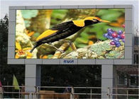 Ясное СМД привело экран П6/приведенный рекламой цвет дисплея полный для рекламировать, энергосберегающий
